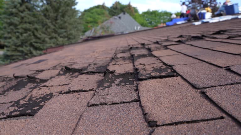 Best 4 Ply Roofing  in Scarsdale, NY
